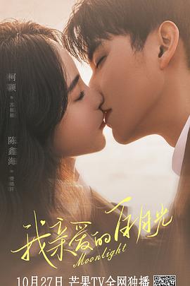 贵阳专业的seo网站优化公司